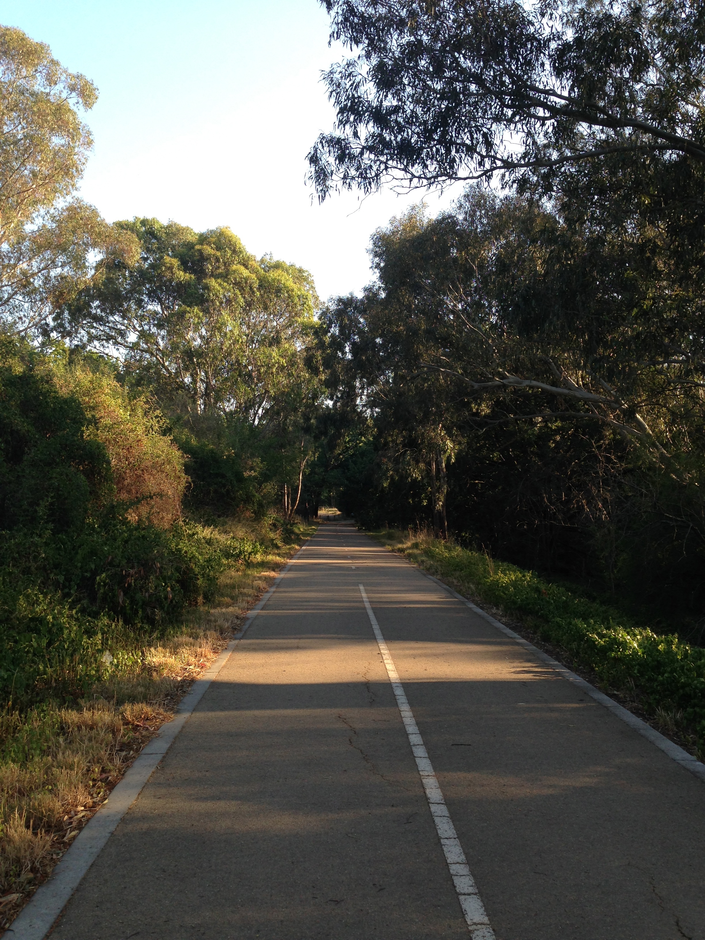 Main Yarra Trail, Yarra Flats Park, Melbourne.
